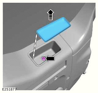 Tailgate Trim Panel